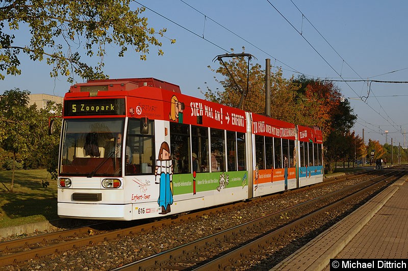 Bild: MGT6D/E 616 als Linie 5 zwischen den Haltestellen August-Frölich-Straße und Roter Berg.