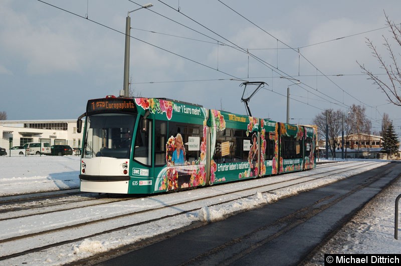 Bild: Combino 635 als Linie 1 kurz vor der Haltestelle Mittelhäuser Str.