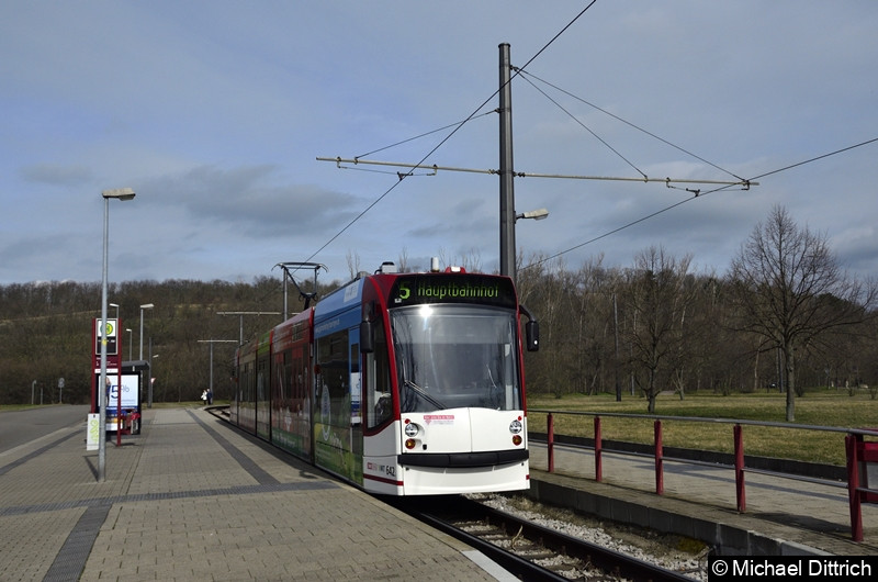 Bild: 642 als Linie 5 an der Endstelle Zoopark.