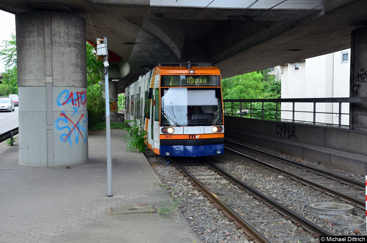 5637 als Linie 7 kurz vor der Haltestelle Gartenstraße.