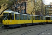 7006