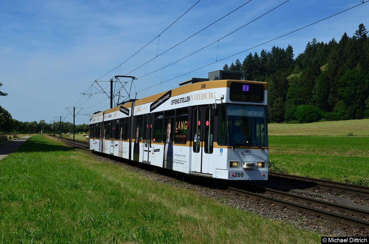 Bild: 260 als Linie 2 zwischen den Haltestellen Wonnhalde und Wiesenweg.