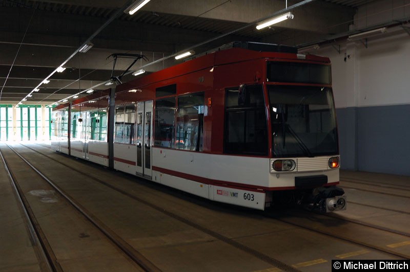 Bild: Ebenfalls in der Halle zu sehen war der MGT6D 603.