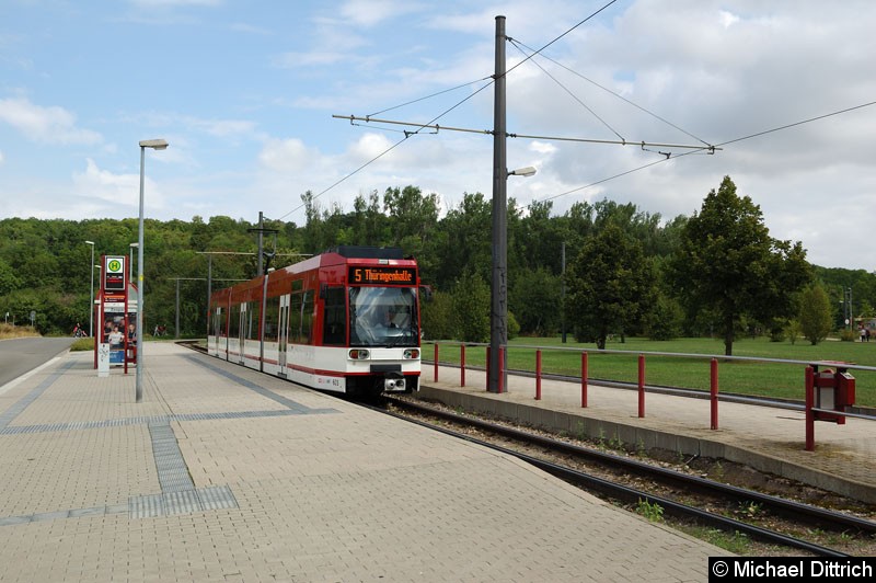Bild: Der modernisierte MGT6D 603 als Linie 5 an der Endstelle Zoopark.