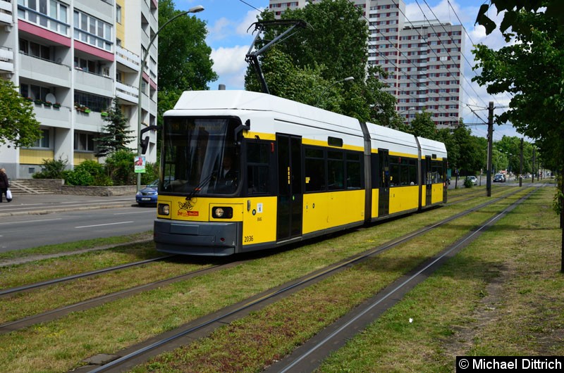 Bild: 2036 als Linie M8 kurz vor der Haltestelle Büschingstr.