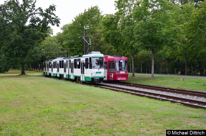 Bild: 1288 und 1289 treffen im Herrenkrug auf den NGT8D 1350.