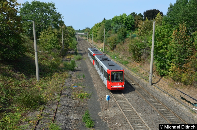 Bild: Als erster Wagen fährt hier der 2221 in Richtung Bonn in die Haltestelle Buschdorf ein.