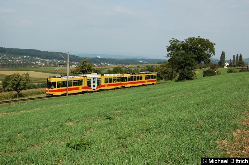 Bild: In Leymen (Frankreich)