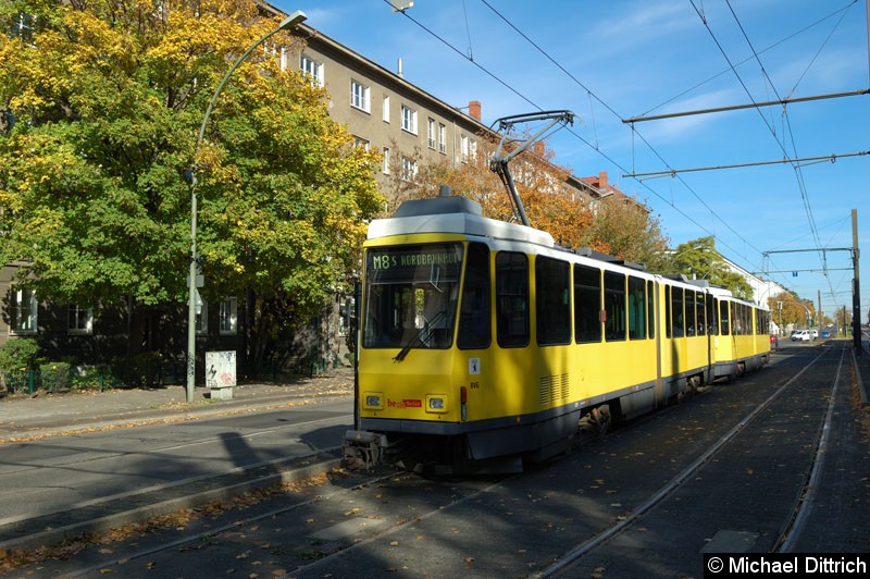 Bild: 6159 + 6049 als Linie M8 in der Endstelle Kniprodestr.