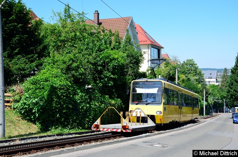 Bild: Zahnradbahn 1003 zwischen den Haltestellen Wielandshöhe und Haigst.