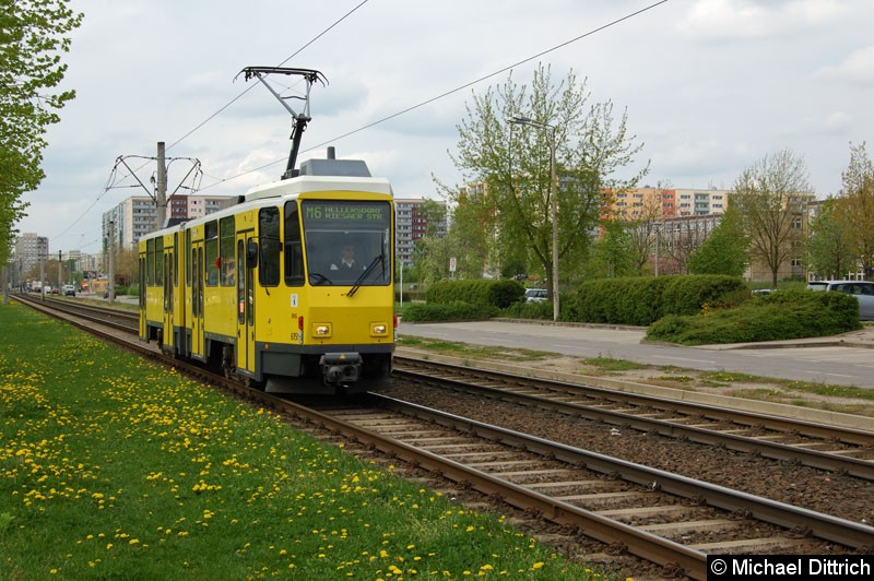 Bild: 6151 als Linie M6 vor der Haltestelle Kastanienallee/Zossener Straße.