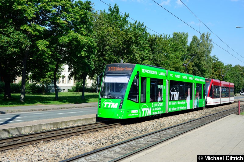 Bild: Combino 719 und 713 als Linie 3 in Höhe der Haltestelle Universität.