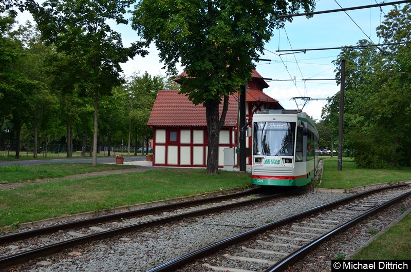 Bild: 1329 als Linie 6 im Herrenkrug.
