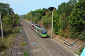 0369