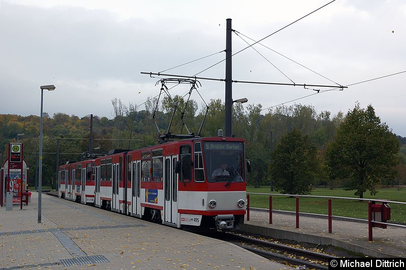 Bild: KT4D 495 und 506 als Linie 5 an der Haltestelle Zoopark.