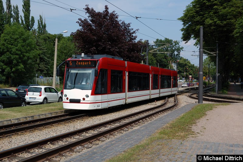 Bild: Combino 622 als Linie 5 in Höhe Schützenplatz.