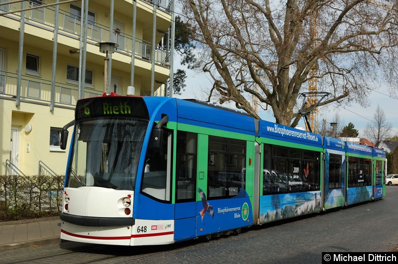 Bild: Combino 648 als Linie 6 an der Haltestelle Steigerstraße.