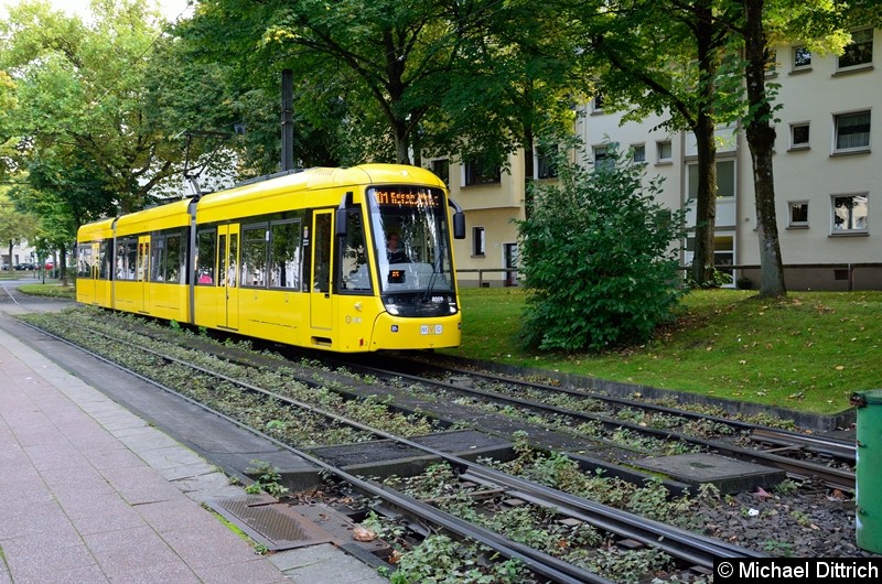 8009 nun als Linie 101 (diese Linie ist mit der Linie 106 gekoppelt) in Höhe der Haltestelle Phillipusstift. 
Hier macht der Wagen Pause.