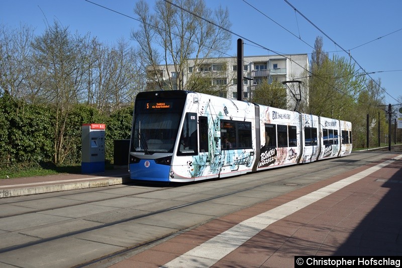 Bild: 610 als Linie 5 an der Haltestelle Rügener Straße.