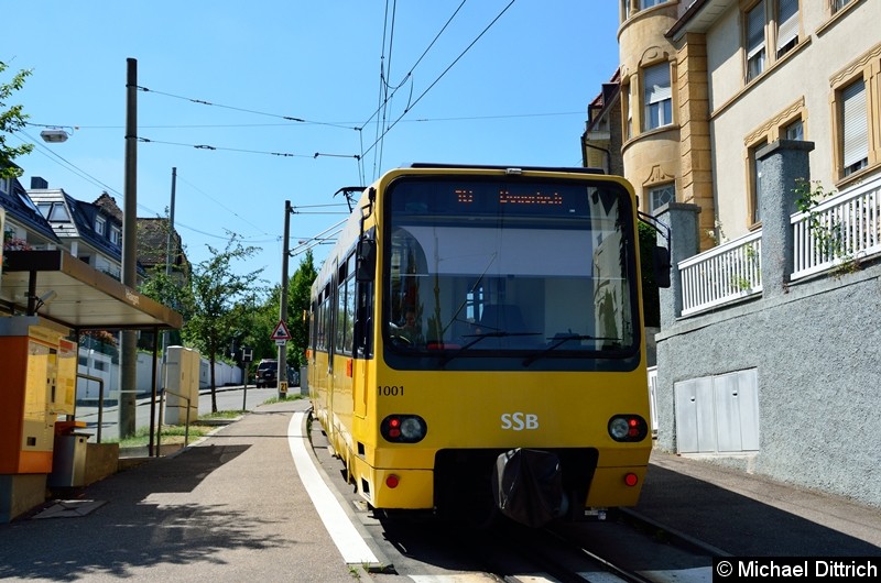 Bild: Zahnradbahn 1001 in der Haltestelle Haigst.