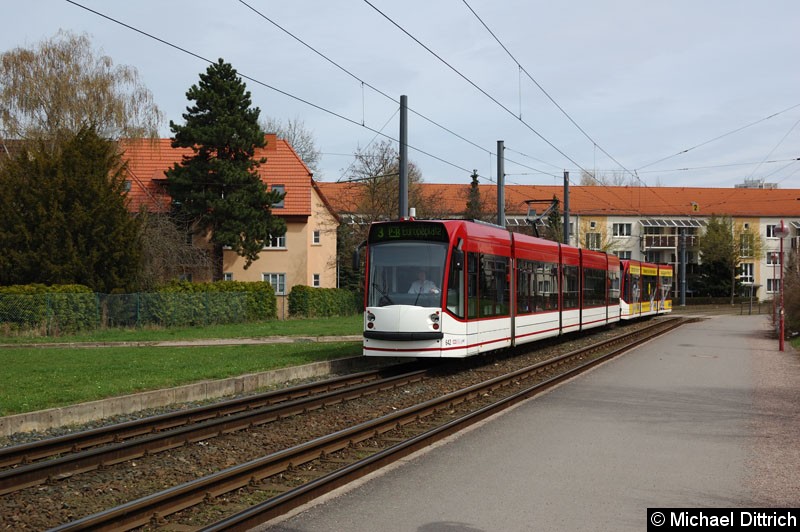 Bild: Combino 642 und 712 als Linie 3 vor der Haltestelle Agentur für Arbeit.