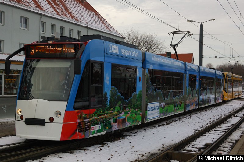 Bild: Combino 625 und 702 als Linie 3 an der Haltestelle Klinikum.