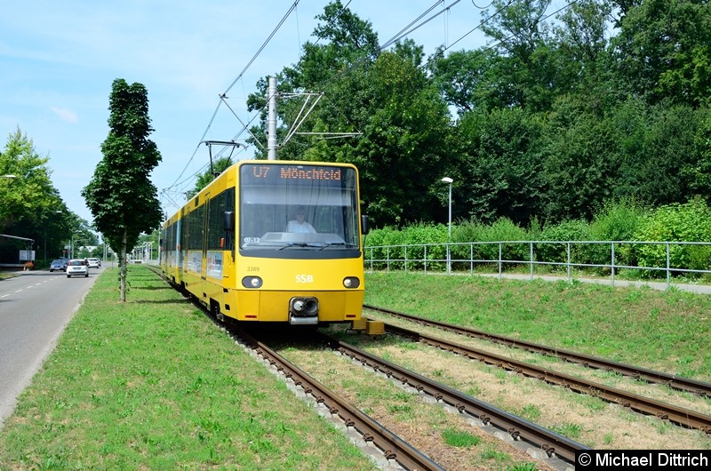 Bild: 3389 als Linie U7 zwischen den Haltestellen Freiberg und Mönchfeld.