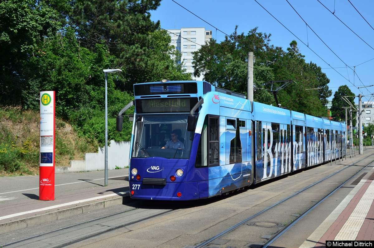 Bild: 277 als Linie 5 an der Haltestelle Am Lindenwäldle.