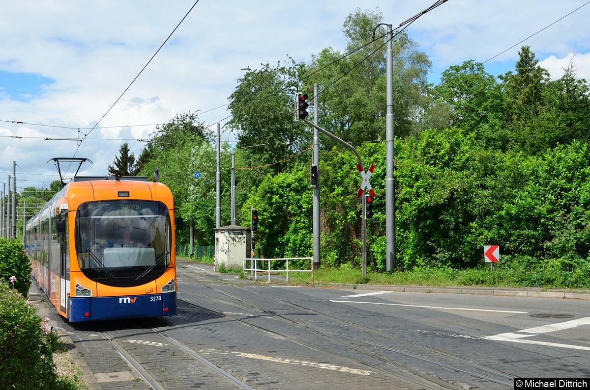 Bild: 3278 auf dem Weg zur Abfahrtshaltestelle Heidelberg, Burgstraße mit dem Ziel Sorry, außer Dienst.