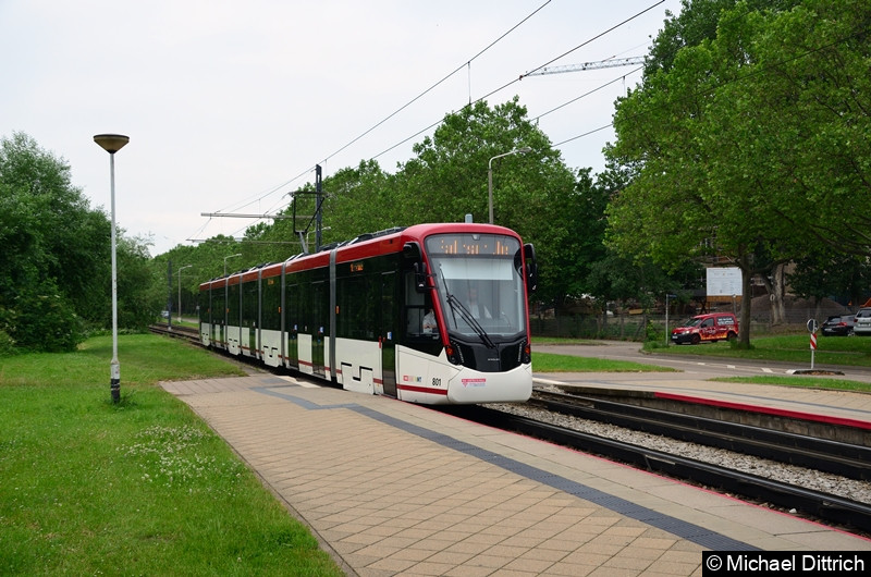 Bild: Auf dem Rückweg vom Wiesenhügel erreicht 801 die Haltestelle Färberwaidweg.