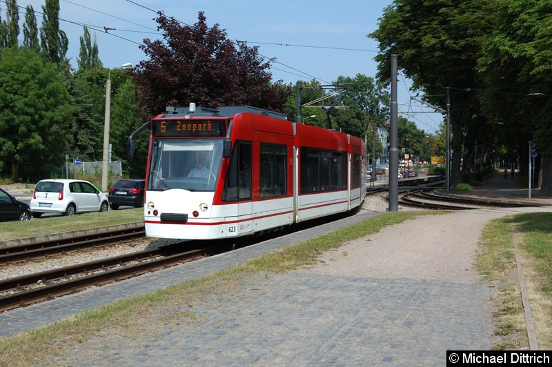 Bild: Combino 623 als Linie 5 in Höhe Schützenplatz.