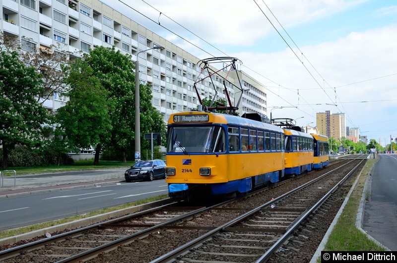 Bild: 2144 + 2145 + 913 als Linie 31 kurz vor der Haltestelle Härtelstr.