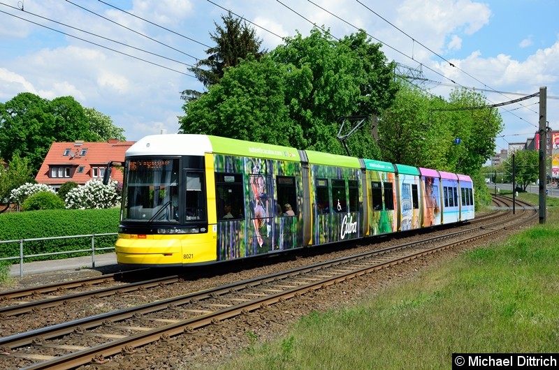 Bild: 8021 als Linie M6 kurz vor der Haltestelle Landsberger Allee/Rhinstr.