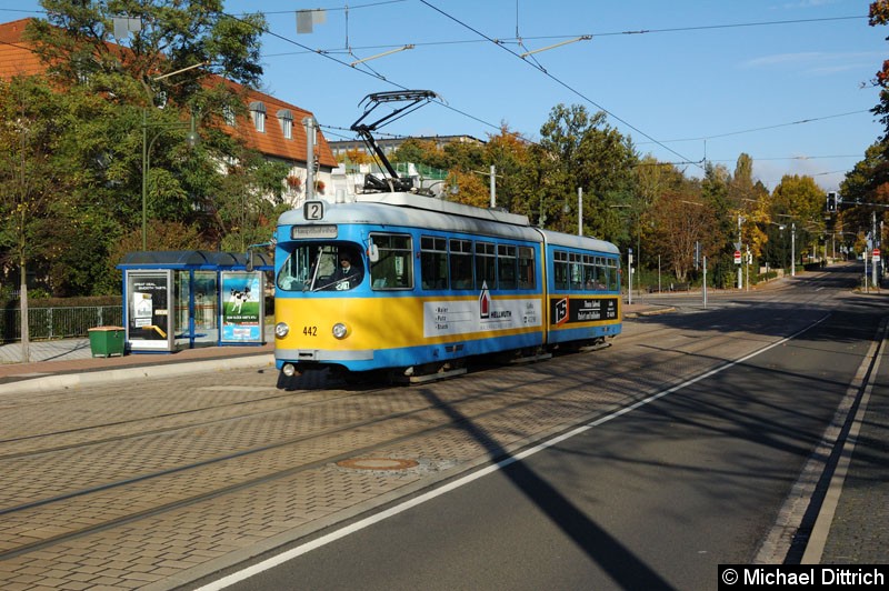 442 als Linie 2 kurz vor dem Hauptbahnhof.