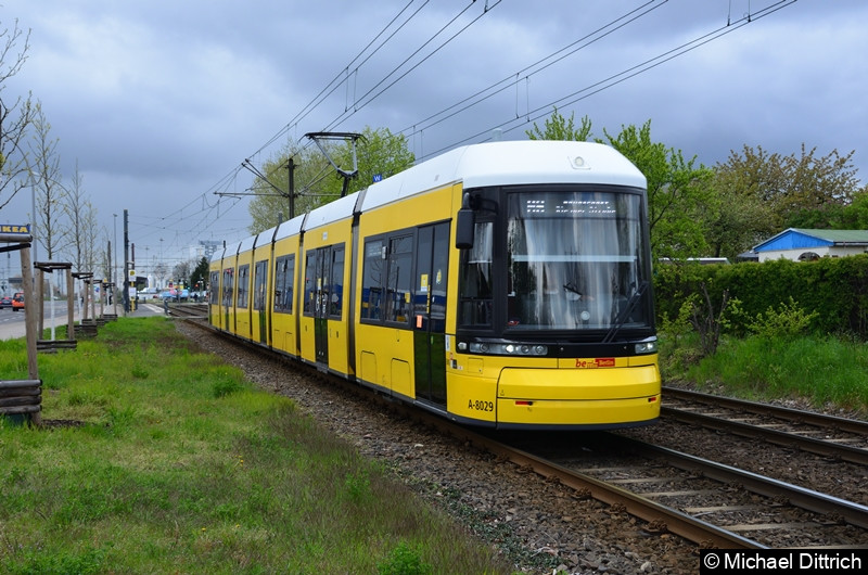 Bild: 8029 als Linie M6 zwischen den Haltestellen Landsberger Allee/Rhinstr. und Dingelstädter Str.