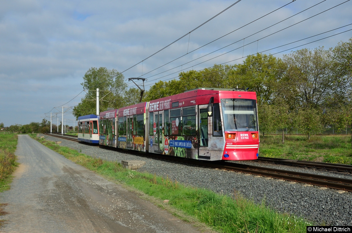 Wagen 9859 als Linie 6 kurz vor der Endstelle Alsbach, Am Hinkelstein.