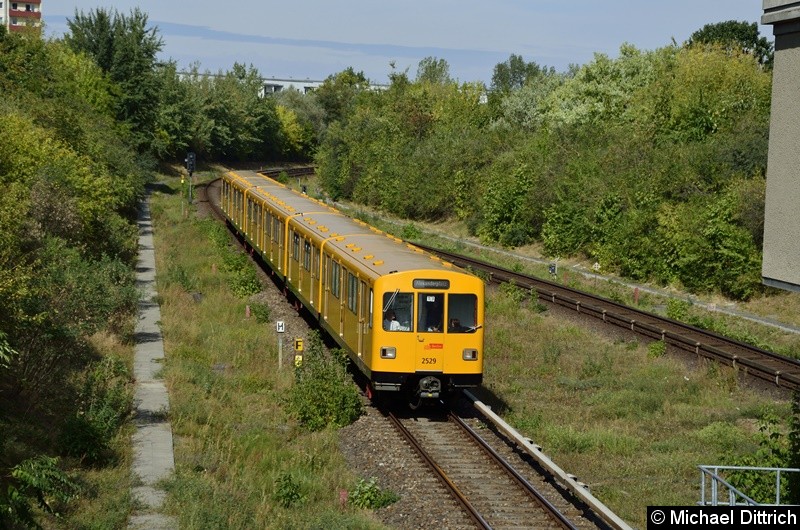 2529 erreicht, mit zwei weiteren F-Zügen, gleich den Bahnhof Kienberg.