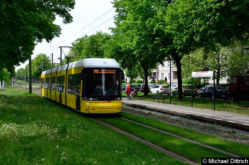 Bild: 4029 als Linie M12 nach S+U Alexanderplatz zwischen den Haltestellen Stahlheimer Str./Wisbyer Str und Prenzlauer Allee/Ostseestr.