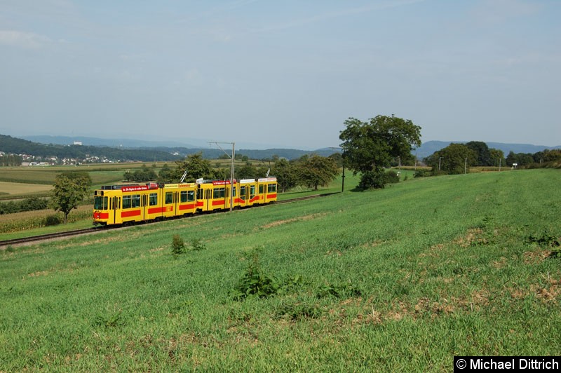 Bild: In Leymen (Frankreich)
