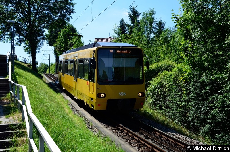 Bild: Zahnradbahn 1001 zwischen den Haltestellen Nägelestr. und Haigst.
