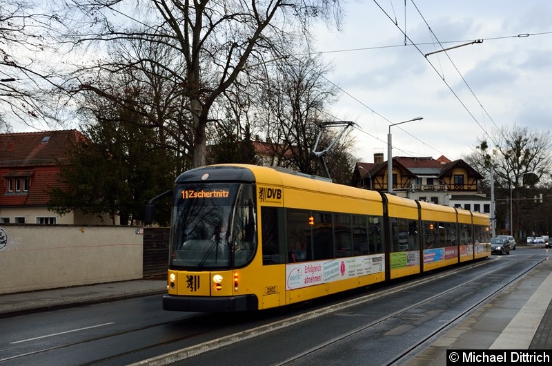 Bild: 2802 als Linie 11 an der Haltestelle Angelikastraße.