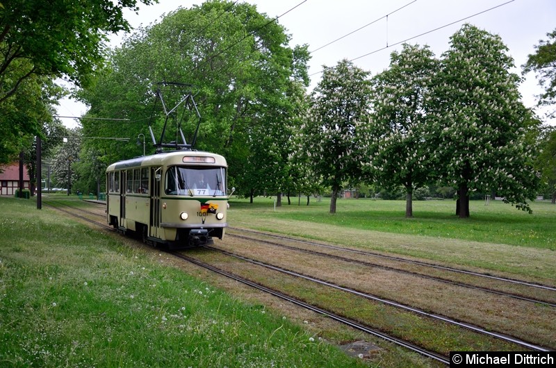 Bild: Hier versucht 1001 vor dem nahenden Regenschauer aus dem Herrenkrug zu flüchten.