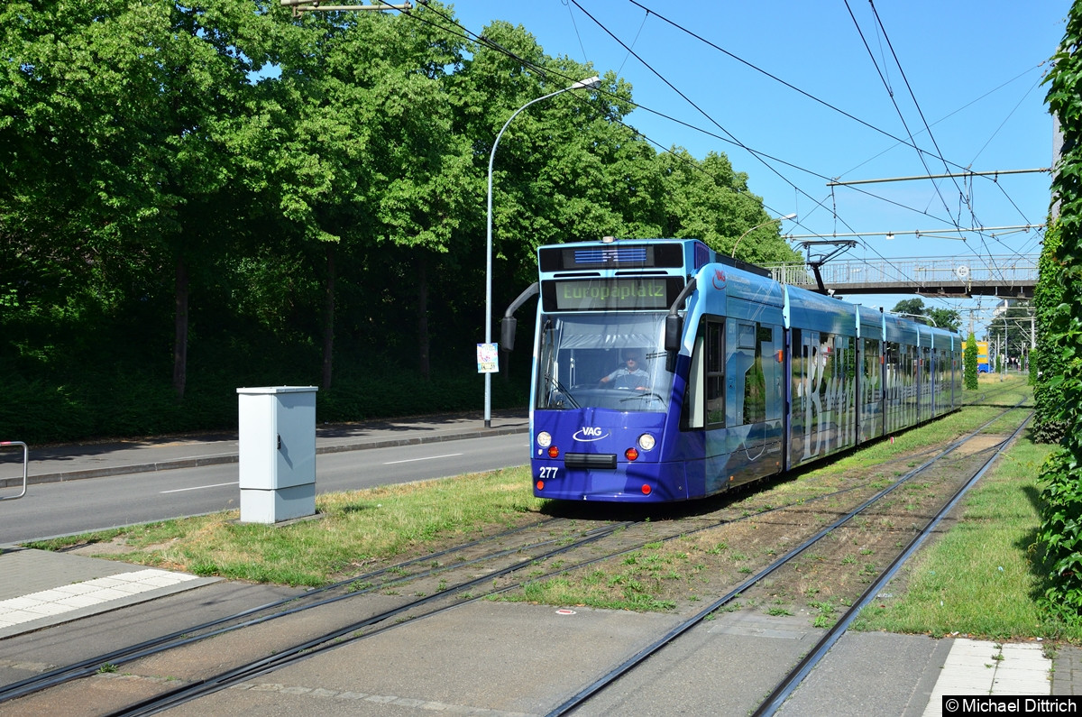 Bild: 277 als Linie 5 kurz vor Erreichen der Haltestelle Am Lindenwäldle.