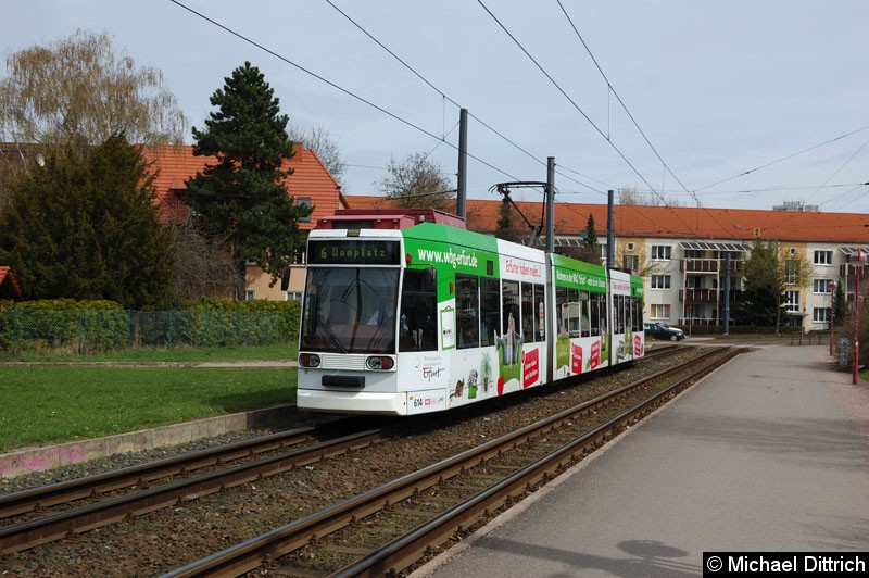 Bild: MGT6D/E 614 als Linie 6 vor der Haltestelle Agentur für Arbeit.