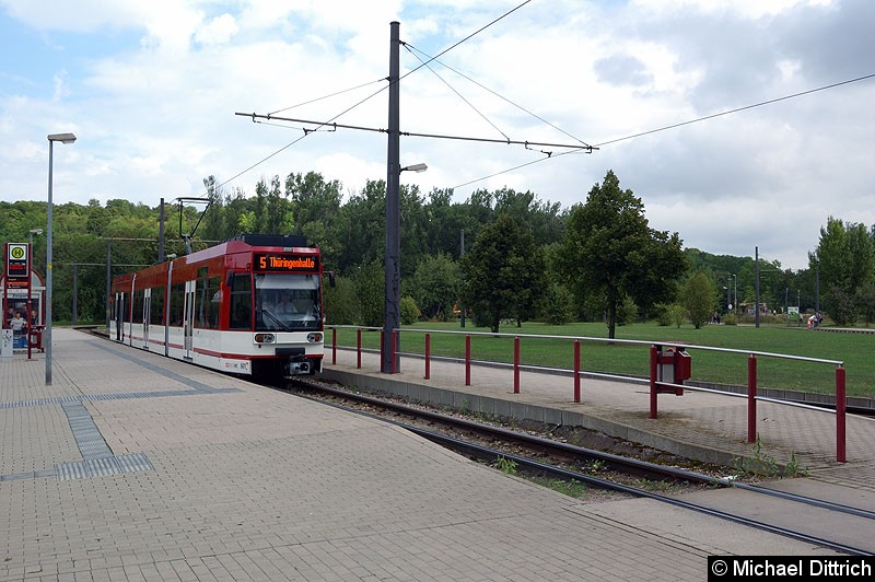 Bild: Der modernisierte MGT6D 601 als Linie 5 an der Endstelle Zoopark.