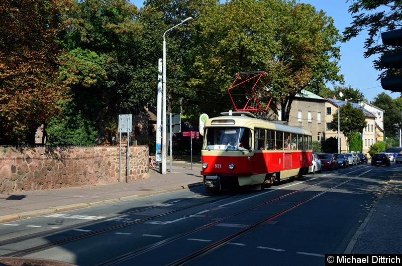 Bild: 931 auf Sonderfahrt kuz hinter der Haltestelle Burg Giebichenstein.