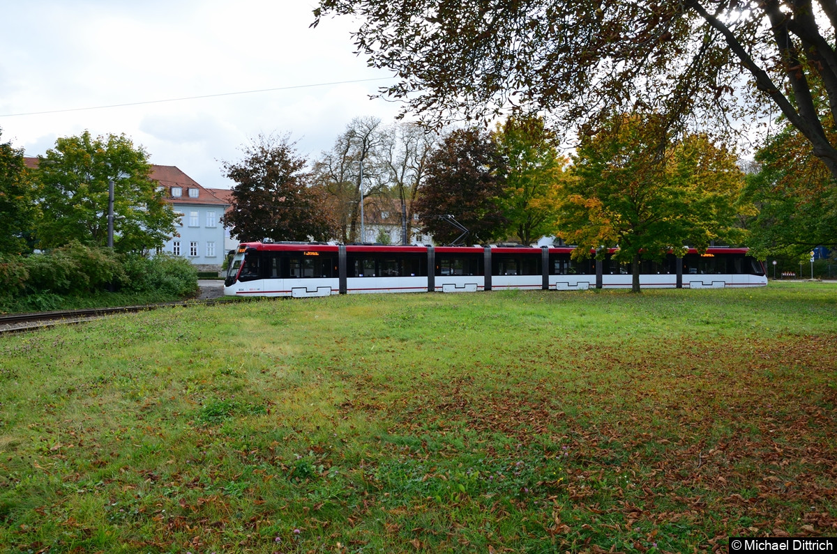 Bild: 804 als Linie 1 an der Thüringenhalle.