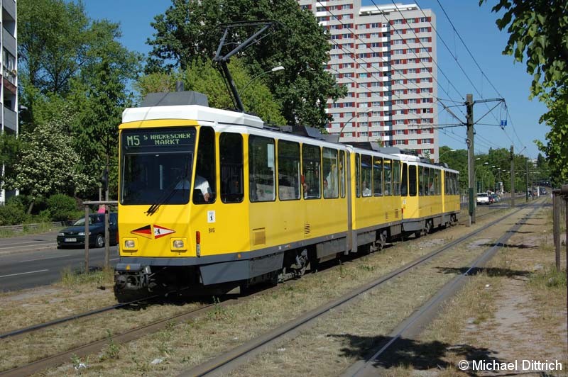 Bild: 7066 als Linie M5 vor der Haltestelle Büschingstraße.