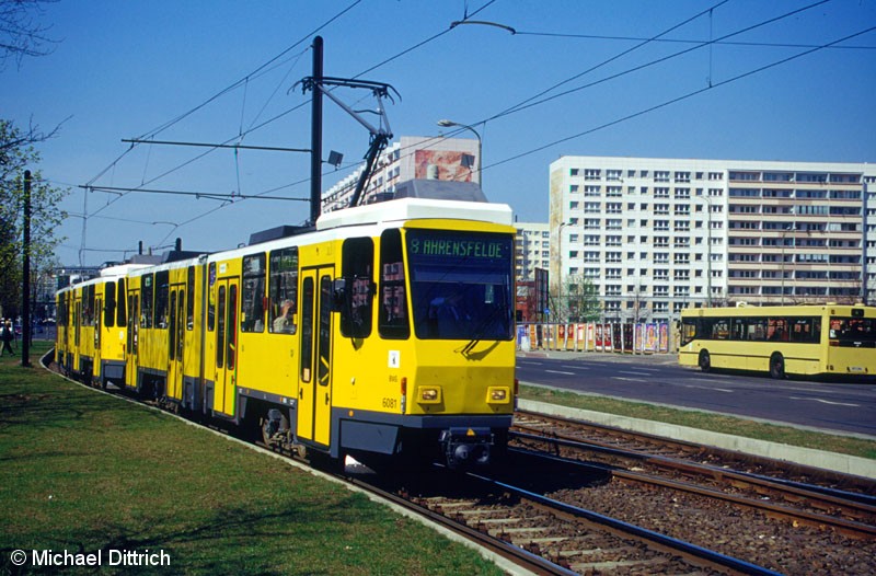 Bild: 6081 als Linie 8 hinter der Haltestelle Mollstraße/Otto-Braun-Straße.