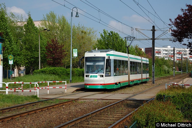 Bild: 1361 als Linie 5 an der Haltestelle Sternbogen.